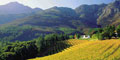 Jamela Africa Safaris