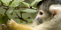 Wilderness Connection Tours