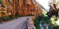 Wilderness Connection Tours