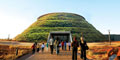 Springbok Atlas Tours