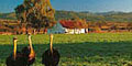 Springbok Atlas Tours