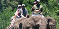 Themba Day Tours & Safaris