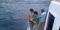 Tigger 2 Charters