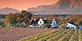 African Blue Tours & Travel