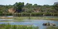 Shoestring Eco Nature Tours