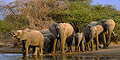 5 day Wildlife Discovery (Jhb - Dbn) by African Blue Tours & Safaris