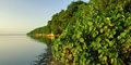 5 / 6 day Wildlife Discovery  (Dbn-Jhb) by African Blue Tours