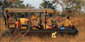3 Day Sanbona Wildlife Reserve Short Break (SCS3) by Springbok Atlas Scheduled Tours