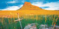 Gecko Hill Tours