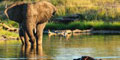 South Africa Vacation