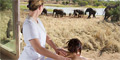 2 NIGHT BUSHVELD & WELLNESS GETAWAY by South Africa Vacation
