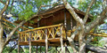 3 Day Pezulu Tree House Safari by Themba Day Tours & Safaris
