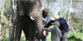 The Elephant Sanctuary by SkyView Helicopter Charters