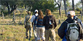 Kruger Park Walk in the Wild Safari (SWS4) by Springbok Atlas Tours & Safaris