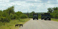 Place Of Rock Safaris