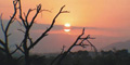 Place Of Rock Safaris