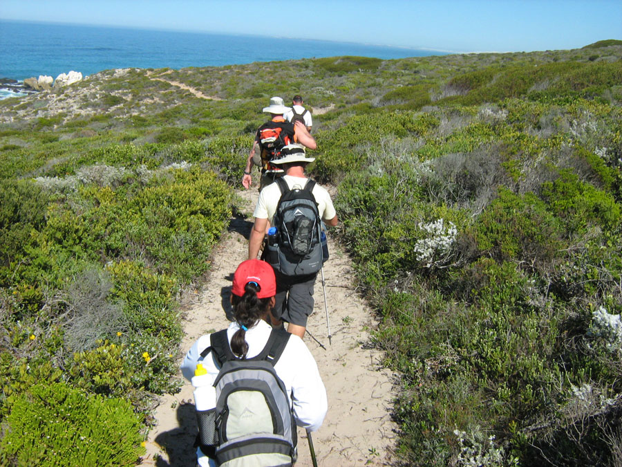 Hiking in Western Cape