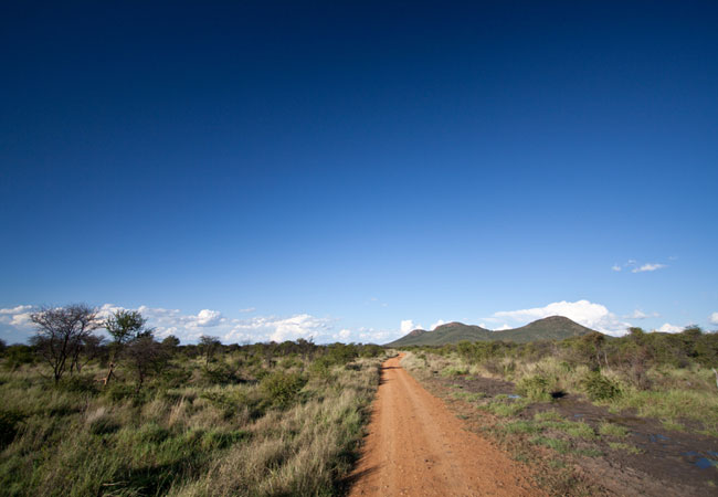 africa west road north african bush leading dirt province hiking trails madikwe sa waterberg track wilderness through close previous venues