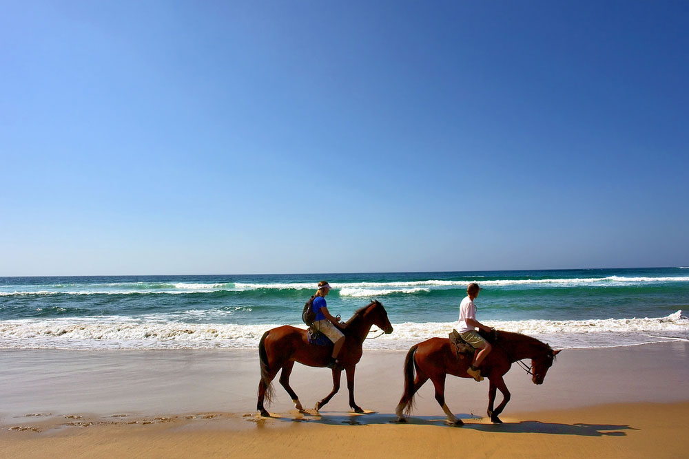 Horse Riding in South Africa
