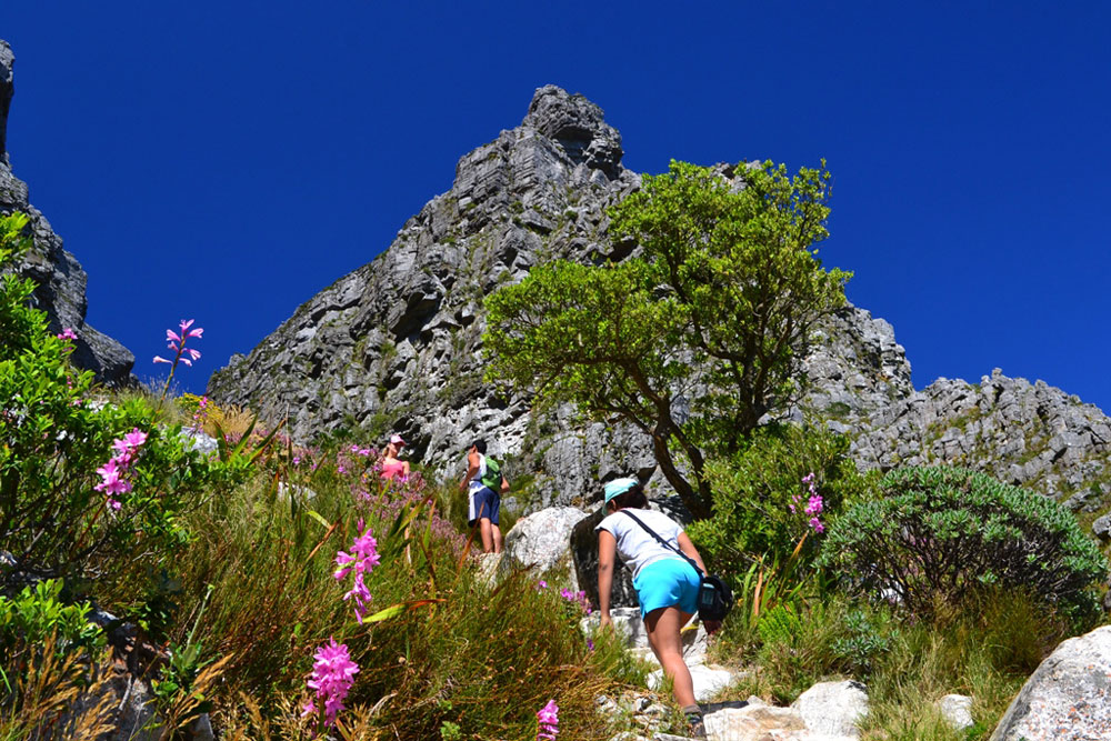 Mountain Climbing in South Africa