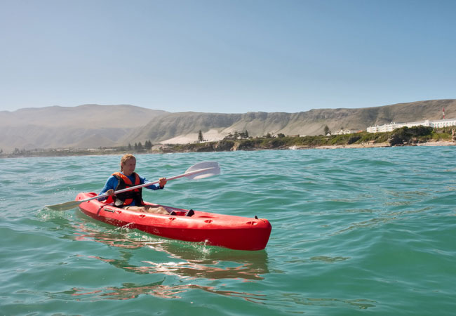 sustainable high waisted bikini