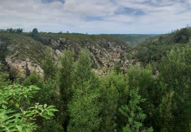 Map-of-Africa Viewpoint