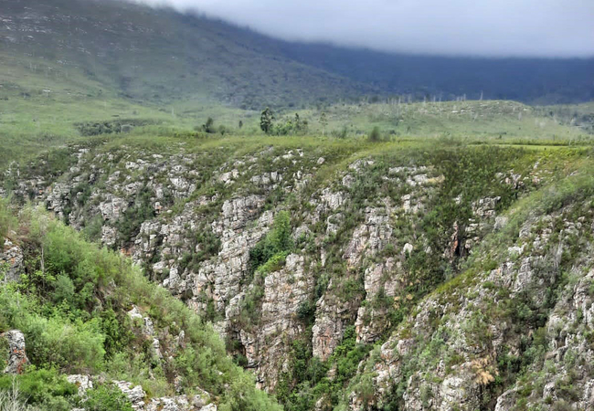 Map-of-Africa Viewpoint