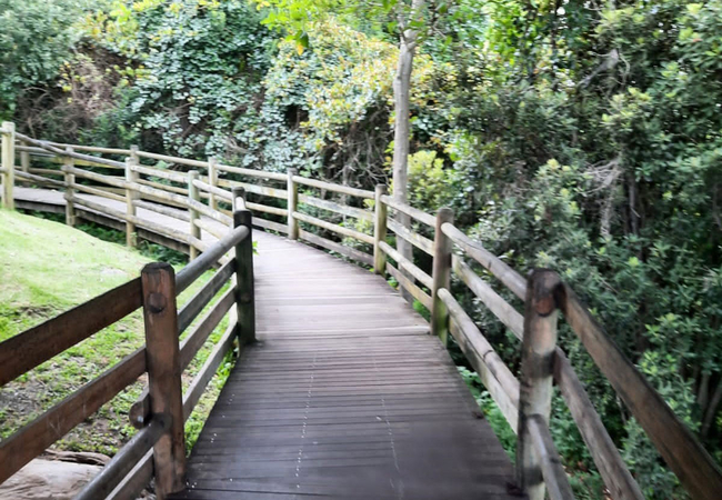 Map-of-Africa Viewpoint