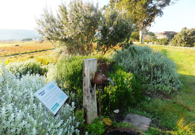 Photograph © Steenbok Nature Reserve