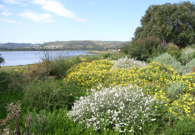 Photograph © Steenbok Nature Reserve