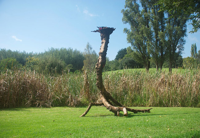 Photograph © Nirox Foundation Sculpture Park