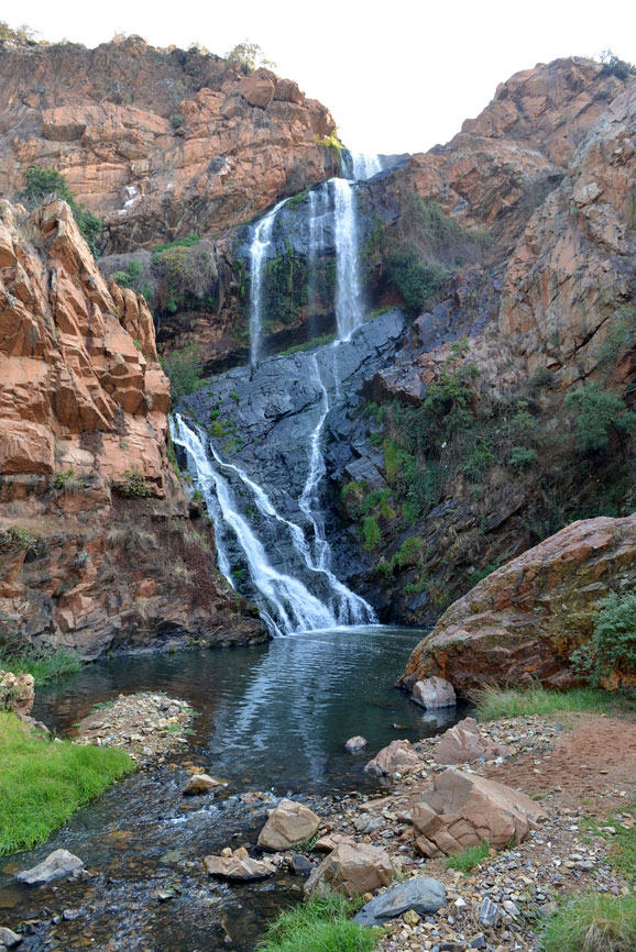 Botanical gardens ruimsig