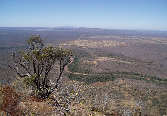 magoebaskloof canopy tours activities