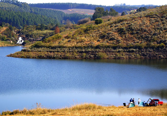 magoebaskloof canopy tours activities