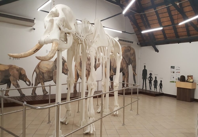 Letaba Elephant Hall