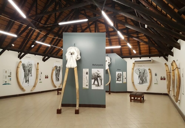 Letaba Elephant Hall