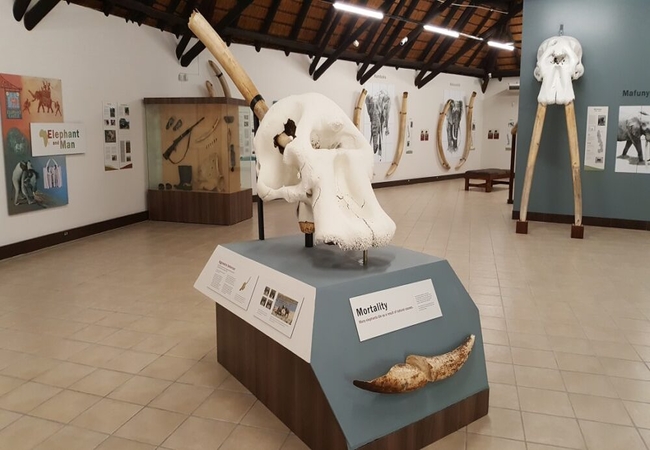 Letaba Elephant Hall