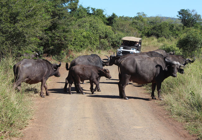 map of tourist attractions in mpumalanga