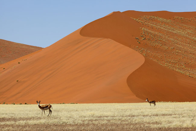 Kgalagadi Transfrontier Park