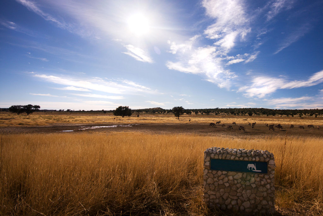 Kgalagadi Transfrontier Park