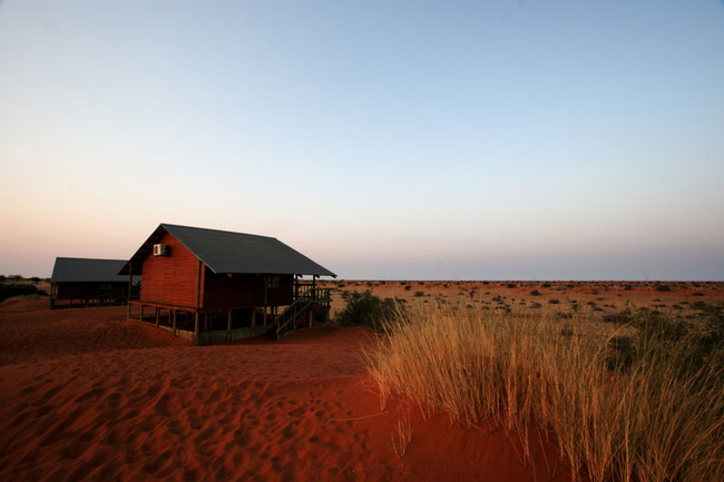 Kgalagadi Transfrontier Park