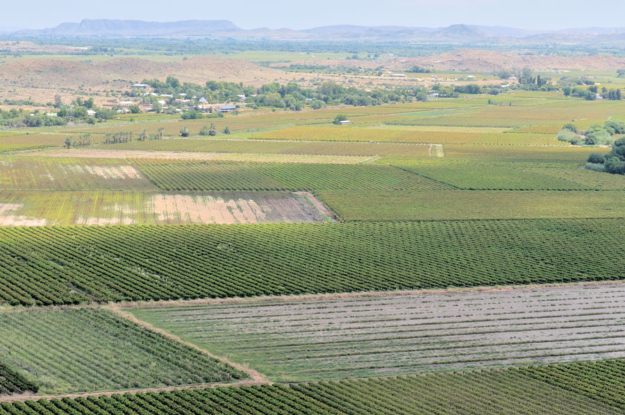 Orange River Wine Route