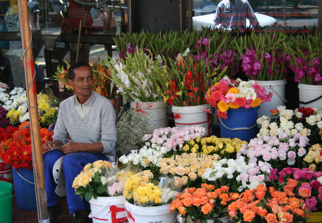 Flower sellers on Adderley Street