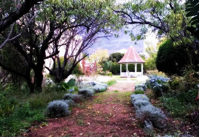 Photograph by and © Wanda Coustas