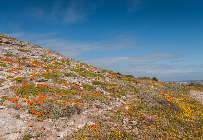 West Coast National Park