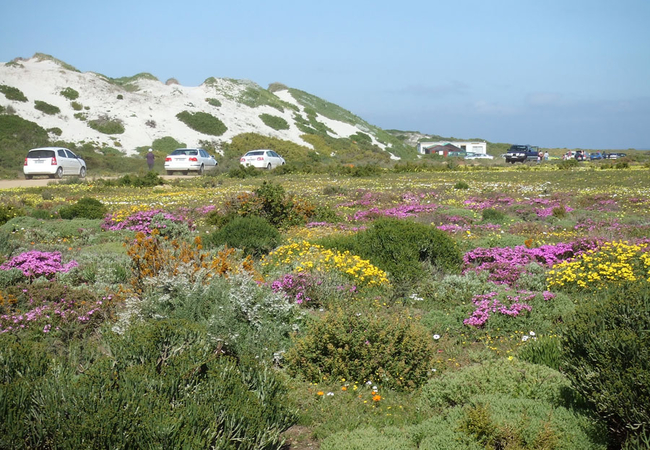 West Coast National Park