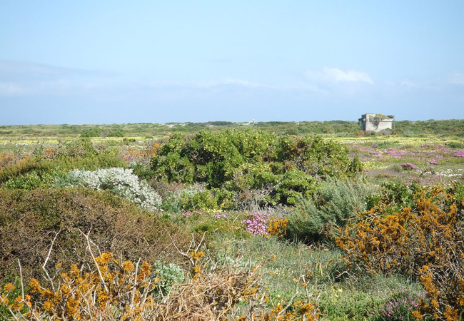 West Coast National Park
