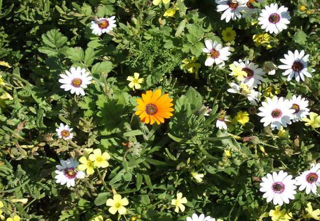 West Coast National Park