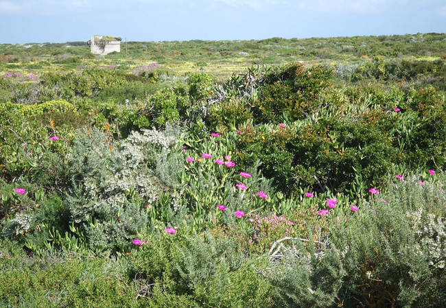 West Coast National Park