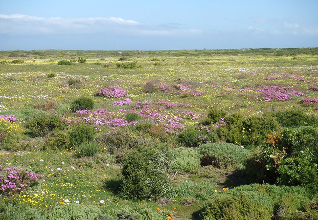 West Coast National Park